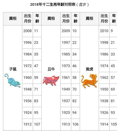 己巳年生肖|十二生肖年份對照表 (西元、民國)